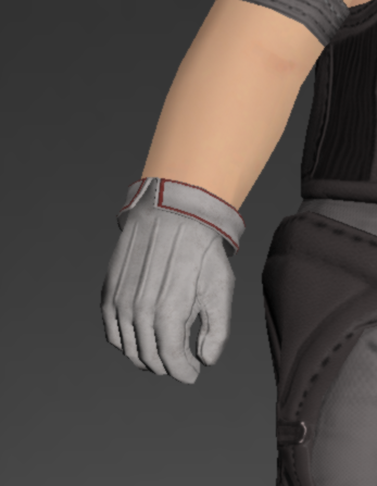 File:Arcanaut's Gloves of Aiming 1.png