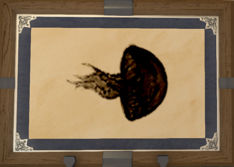 File:Jeweled Jellyfish print.png