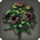 Black oldroses icon1.png
