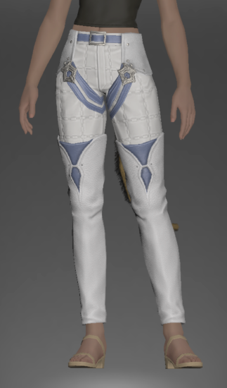 File:Darbar Breeches of Fending front.png