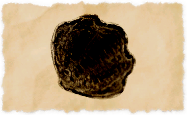 File:Gigant clam.png