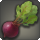 Beet icon1.png