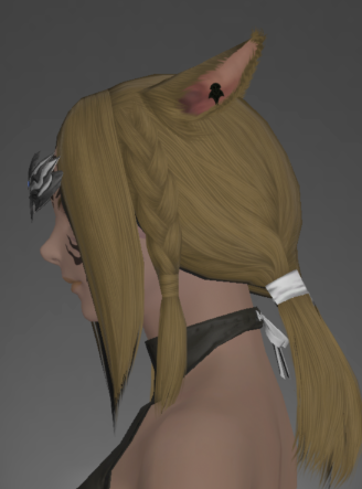 File:Omicron Circlet of Striking side.png