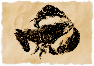 File:Bone crayfish.png