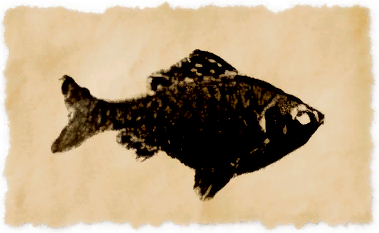 File:Abalathian bitterling.png