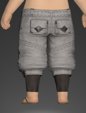 File:Sarcenet Culottes of Gathering 2.png