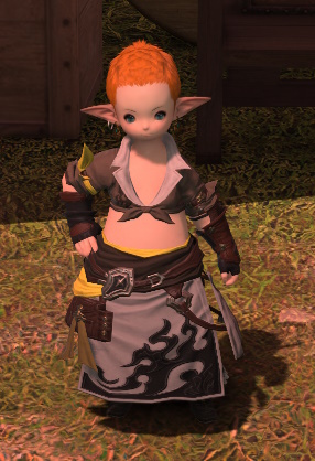 File:Expedition Supplier.jpg