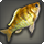 Golden cichlid icon1.png