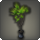 Potted dragon tree icon1.png