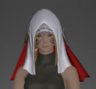 File:Weathered Ebers Hood front.png