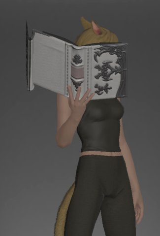 File:Unfinished Replica of the Omnilex outside.png