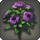 Purple oldroses icon1.png