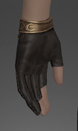 File:Augmented Lunar Envoy's Gloves of Casting rear.png