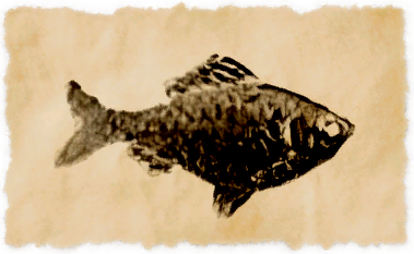 File:Hak bitterling.png