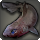 Kitefin shark icon1.png