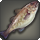 Tiger cod icon1.png