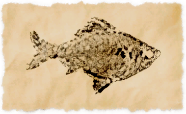 File:Fall jumper.png