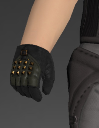 File:Dark Horse Champion's Gloves of Aiming 1.png