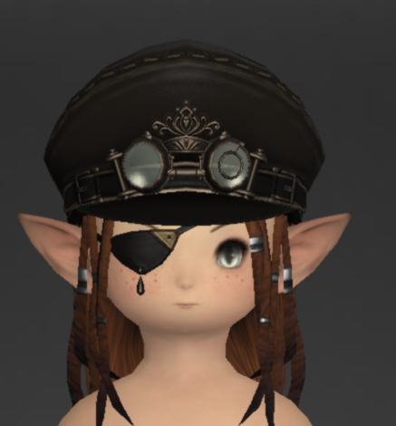File:AR-Caean Velvet Hat of Fending 1.png