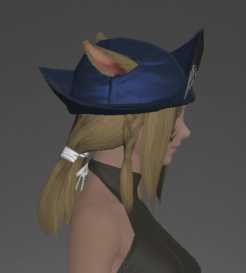 Warwolf Hat of Healing right side.png