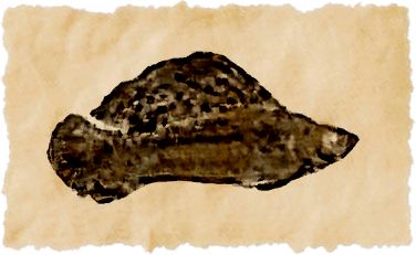 File:Iq br'aax sailfin.png