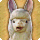 Alpaca card icon1.png
