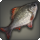 Fishy fish icon1.png