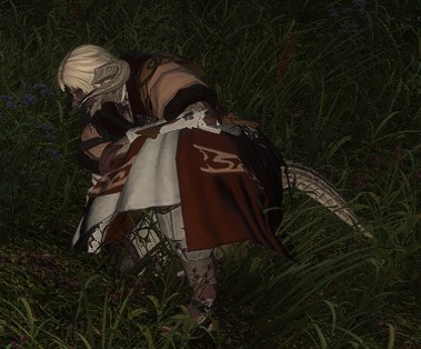 File:Injured Alchemist.jpg