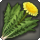 Steppe flatweed icon1.png