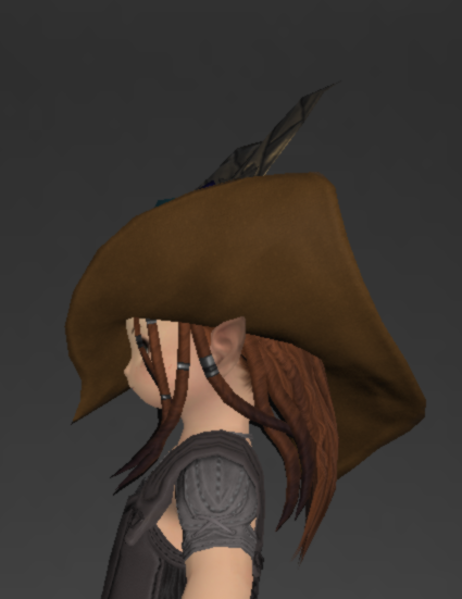 File:Tigerskin Tricorne of Aiming 2.png