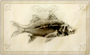 File:Jumbo snook.png