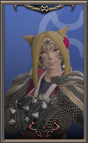 File:Warrior (Simple) Portrait Preset example.png