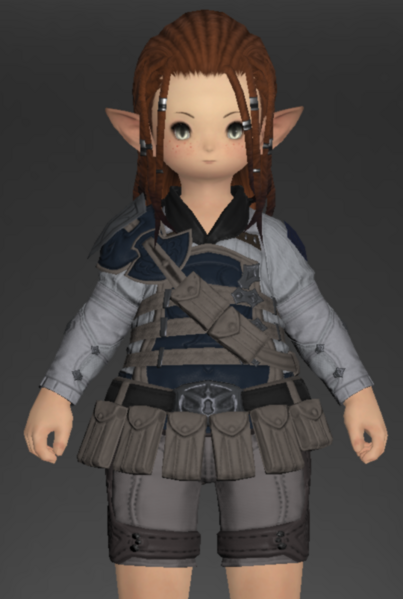 File:Royal Volunteer's Gambeson of Fending 3.png