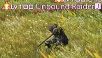 Unbound Raider.jpg