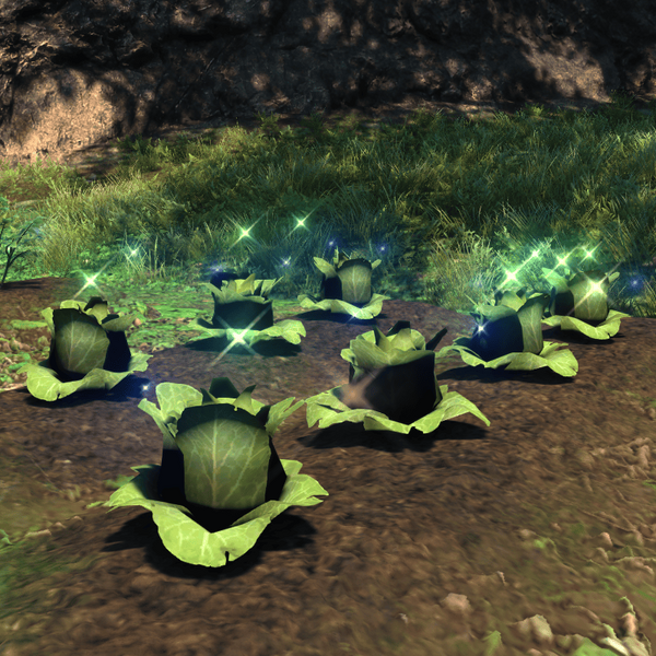 File:Island Cabbage Top.png