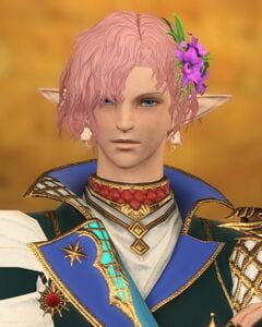 Fashion-minded Fellow