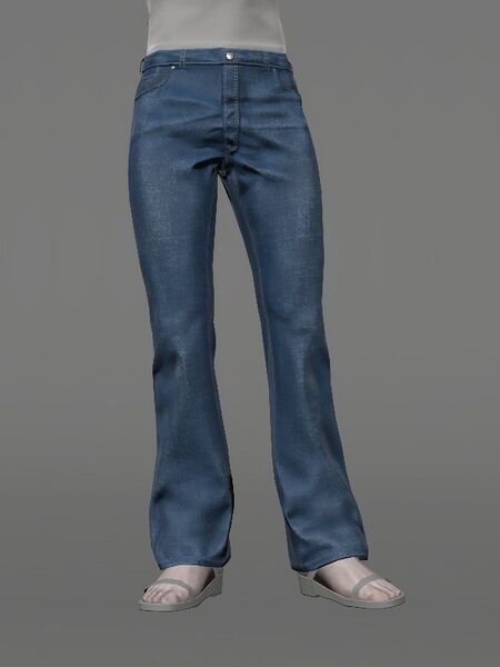 File:Bell-bottom Twill Trousers Male.jpeg