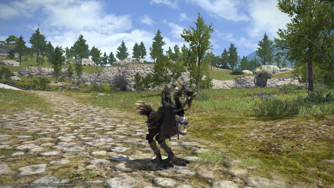 Ffxiv island black chocobo