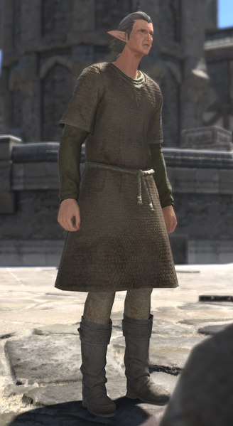 File:Fury-Fearing Elezen 2.png