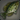 Gallivanting Croppie