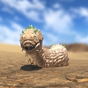 Worm