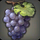 Grape Simular
