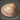 Island Clam
