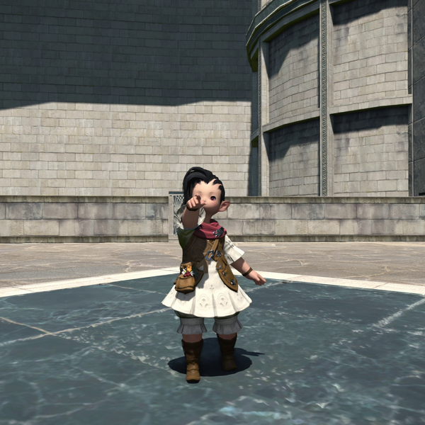 File:Point Emote.png