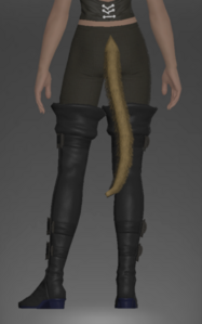 Adept's Thighboots rear.png