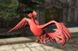 Scarlet peacock1.jpg