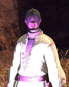 Slipshod Wayfarer