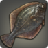 Moraby Flounder