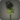 Black chrysanthemums icon1.png