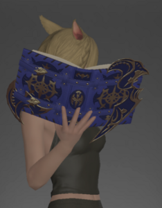 Pupil's Leather Grimoire outside.png